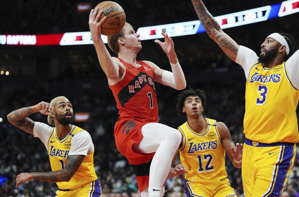 作的长久性 作的长久性