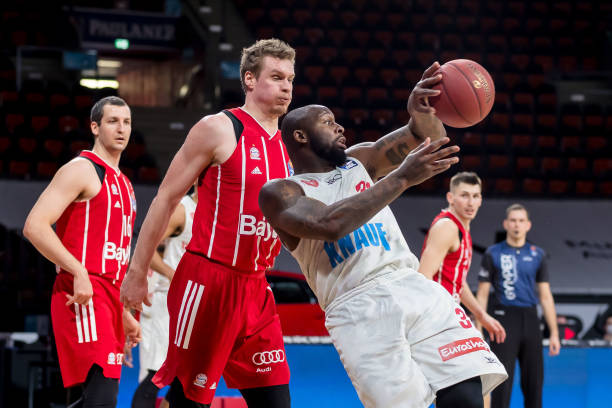 不仅展示了 不仅展示了